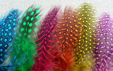 feather8